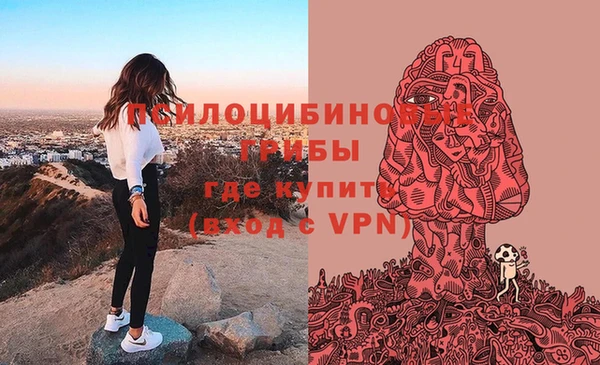 эйфоретик Краснослободск