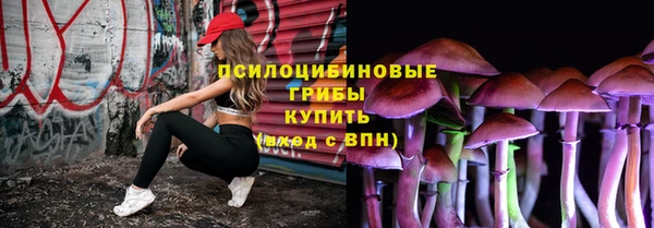 эйфоретик Краснослободск
