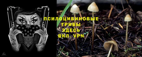 эйфоретик Краснослободск