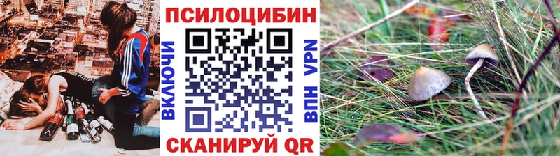 Купить закладки  Лысково  Псилоцибиновые грибы Magic Shrooms 